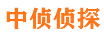 桃江捉小三公司